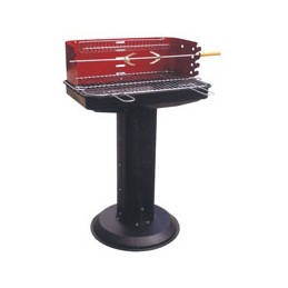 BARBECUE PIANTANA...