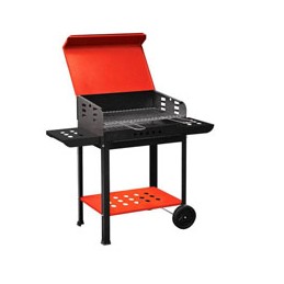 BARBECUE VANESSA...