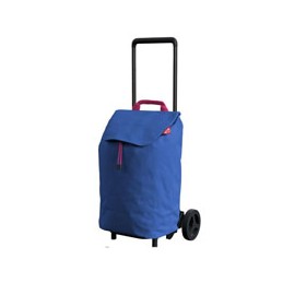 CARRELLO SPESA EASY BLU...