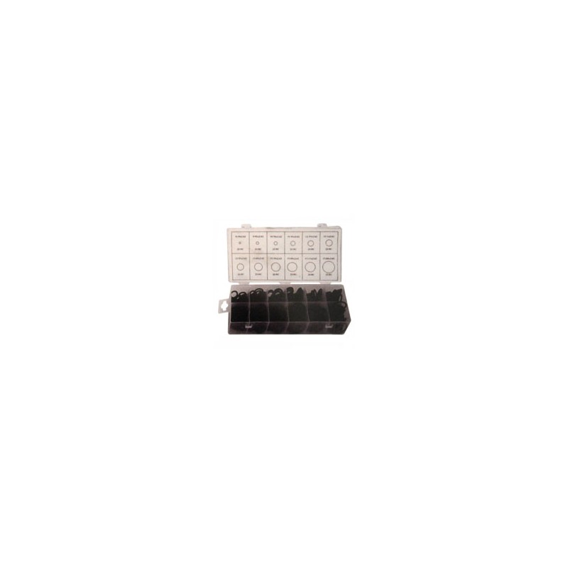 O-RING ASSORTIMENTO Pz.300            AGLAIA 09452