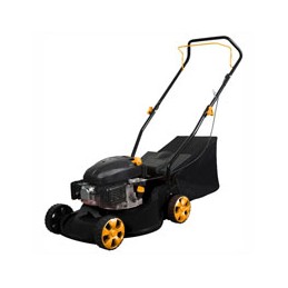 RASAERBA BRICO cm 41 PP...