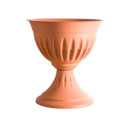 VASO ALBA CALICE COCCIO...