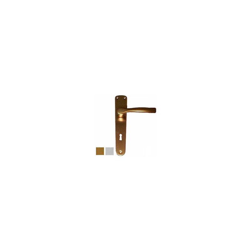 MANIGLIA GABRY ALL ARG PLACCA 8x70