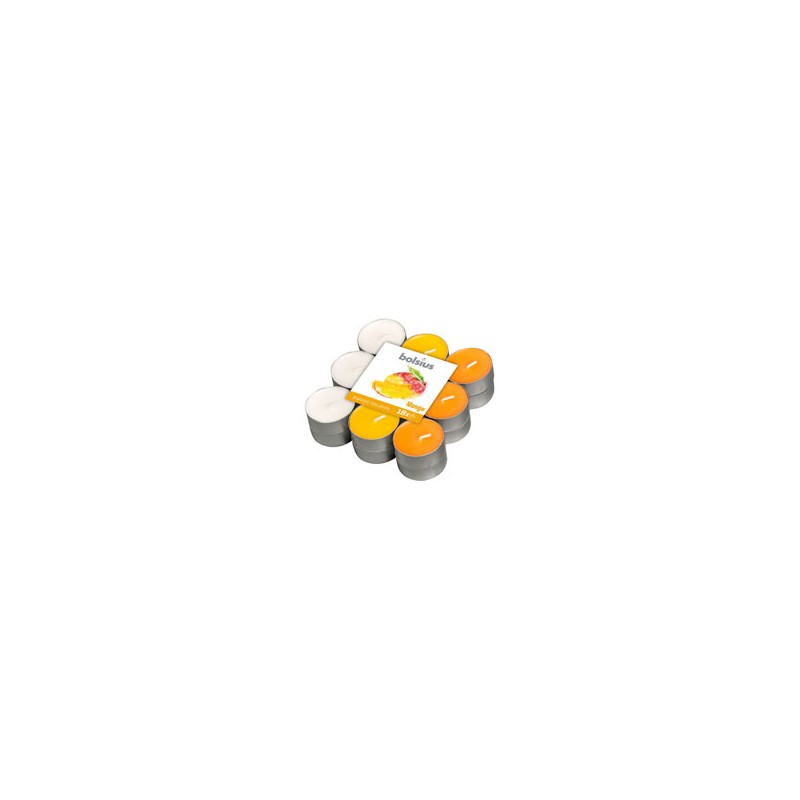 CANDELA TEALIGHT ZUCCHERO E SPEZIE Pz 18 BOLSIUS