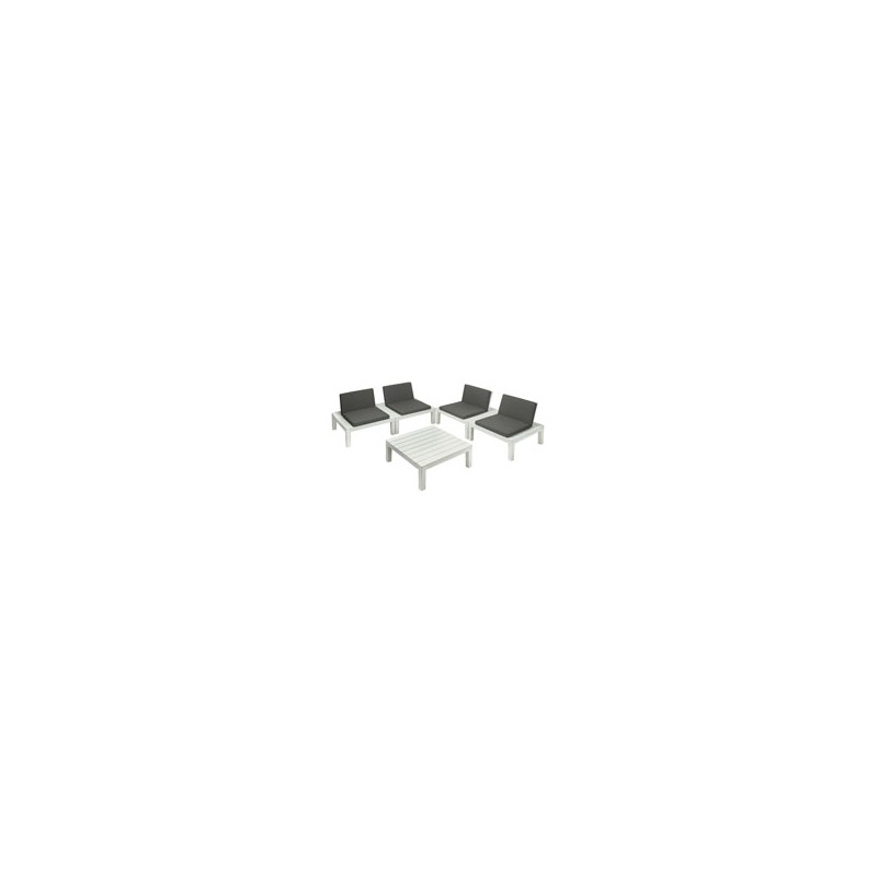 SALOTTINO SET API BIANCO/ANTRACITE Pz 4 PROGARDEN