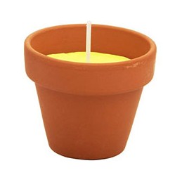 CANDELA CITRONELLA VASO...