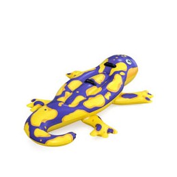 GONFIABILE SALAMANDRA...
