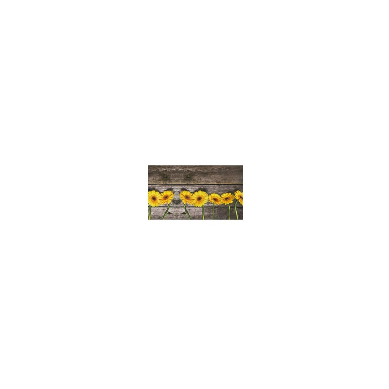 PASSATOIA JOKE PARQUET SUNFLOWER m 24 h 0,50 OLIVO
