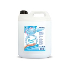 SAPONE LIQUIDO MANI l 5,00
