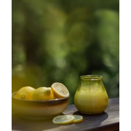 CANDELA CITRONELLA BICC. GIALLO mm 91 h 94 BOLSIUS