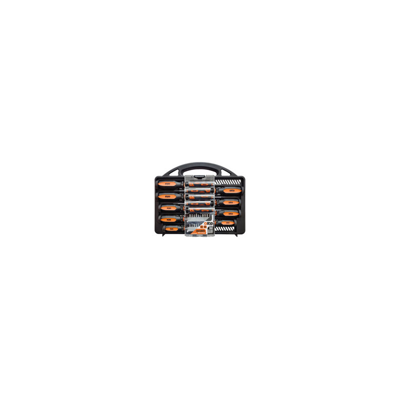 CACCIAVITI + INSERTI SET Pz 34 ALTE 12084