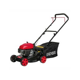 RASAERBA BRICO cm 41...