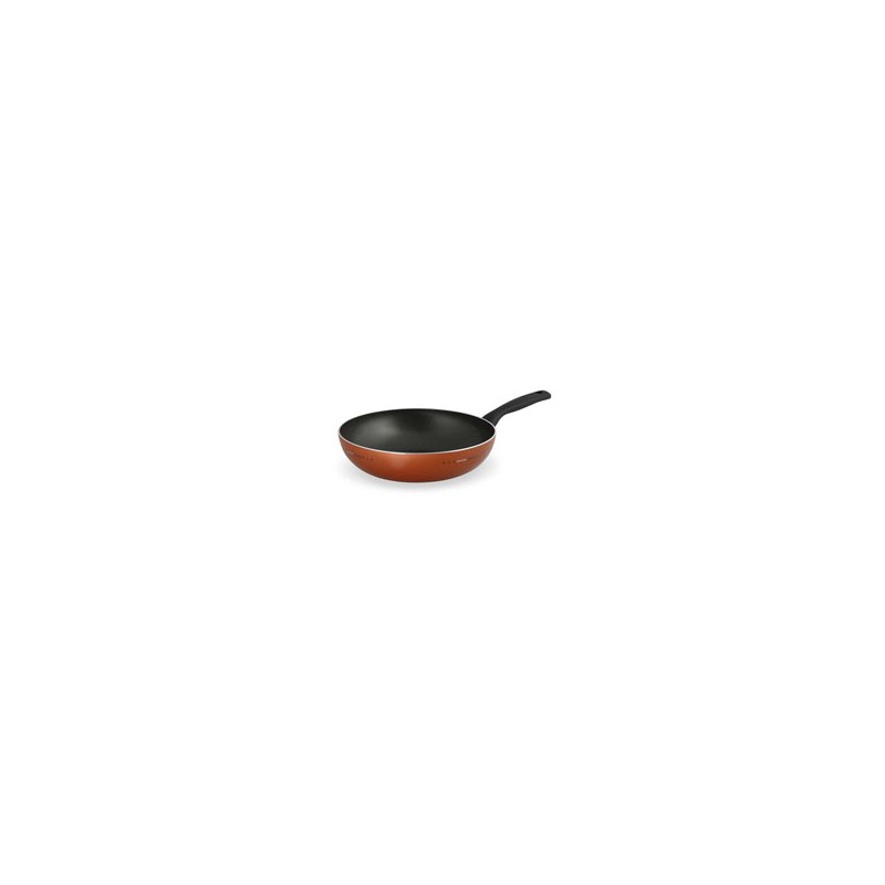 WOK 1 MANICO cm 28 ZECCHINO MONETA