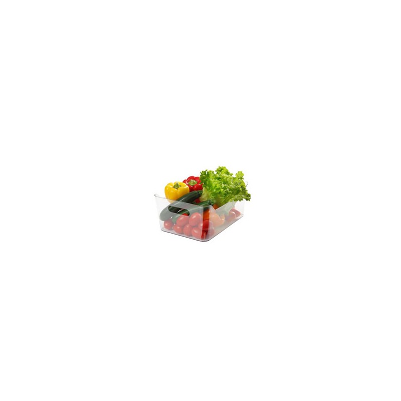 VASCHETTA FRIGO            cm 24x17 h 10,5 COSATTO