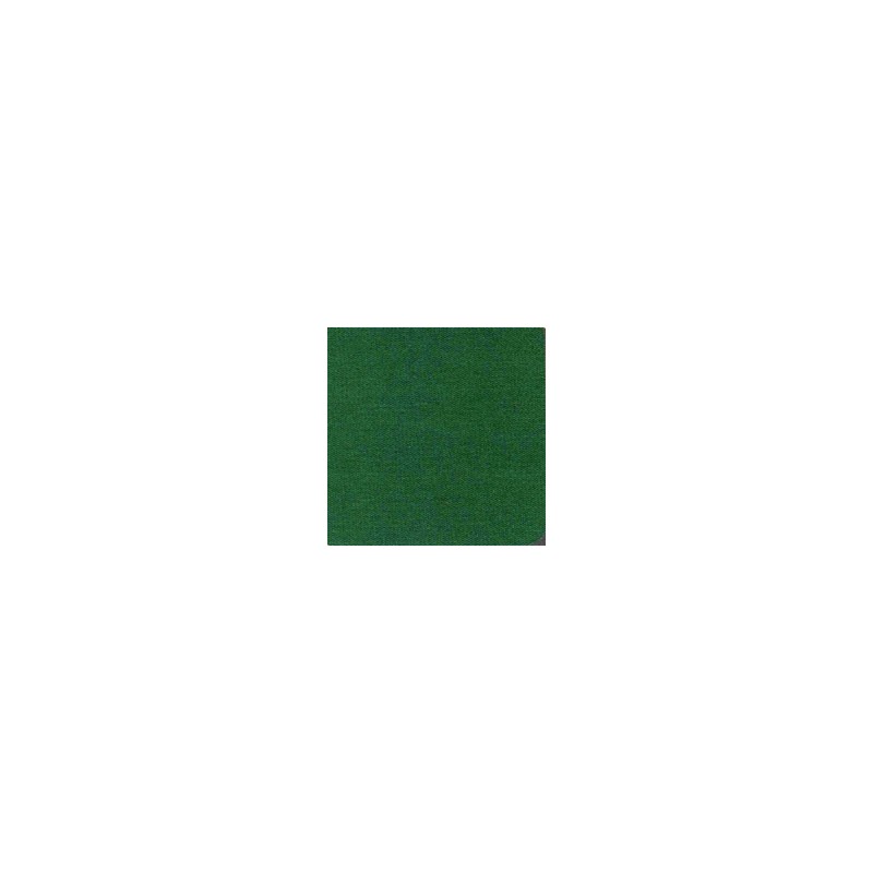 TENDA SOLE POLIESTERE PLUS UNITA VERDE 145x300 RP