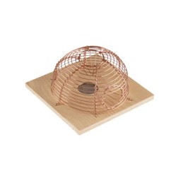 TRAPPOLA TOPI PAGNOTTA 2...