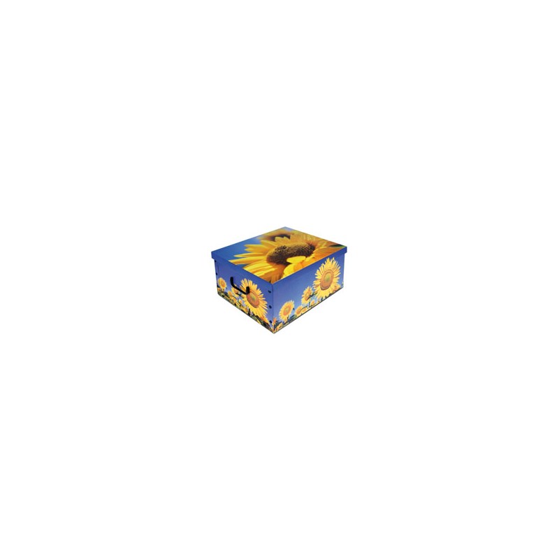 SCATOLA COMPONIBILE cm 50x40 h 25 TENDENZE