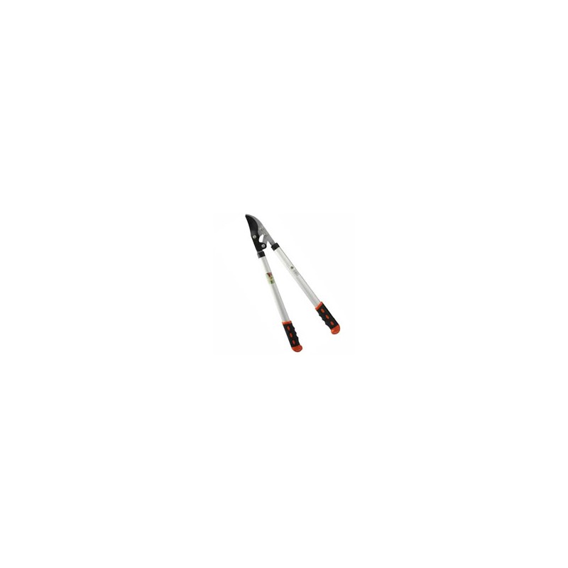 TAGLIARAMI LAME PASSANTI ALL EST P ILCAMPO 01123