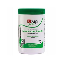 MASTICE INNESTI g  500...