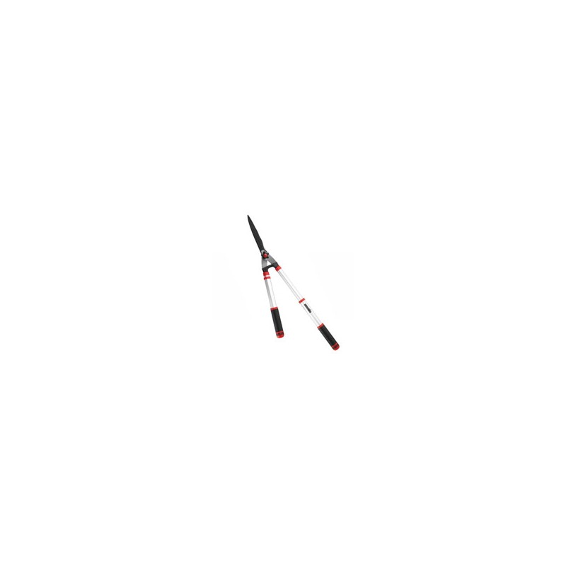 FORBICE SIEPI ESTENSIBILE 31215 AUSONIA