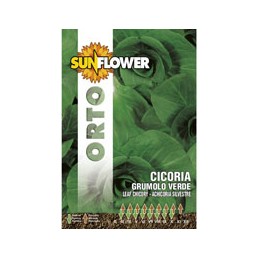 SEMENTI CICORIA GRUMULO...