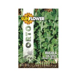 SEMENTI RUCOLA COLTIVATA...