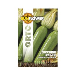 SEMENTI ZUCCHINO GENOVESE...
