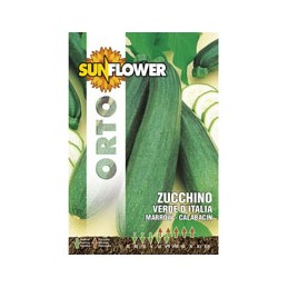 SEMENTI ZUCCHINO VERDE...
