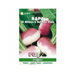 SEMENTI RAPA MILANO...