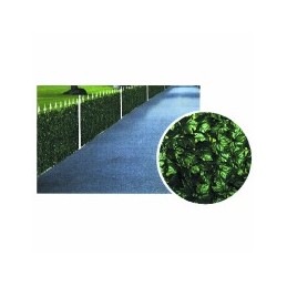 SIEPE EDERA h 100 m 20...