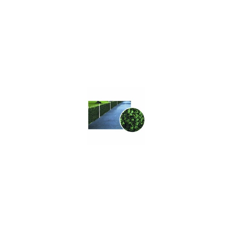 SIEPE EDERA h 100 m 20 TREX 06231