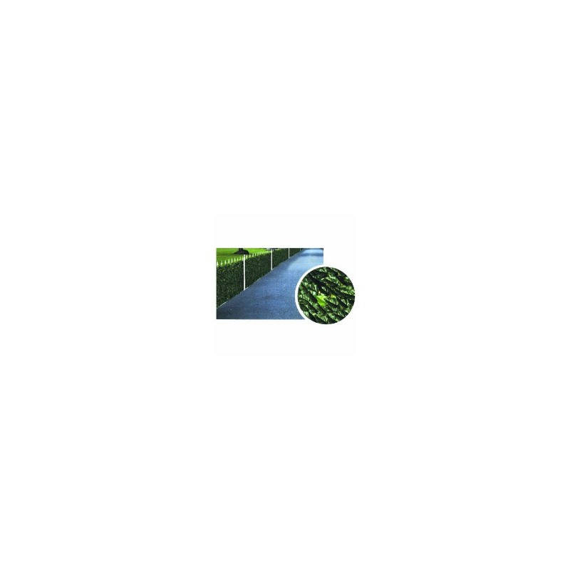 SIEPE LAURO h 150 m 3 TREX 00030