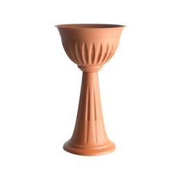 VASO ALBA COLONNA COCCIO...