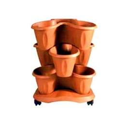 VASO TRIFOGLIO COCCIO SET...