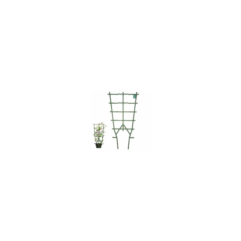 TELAIO VASI RAMPICANTI VERDE cm 35 h 82