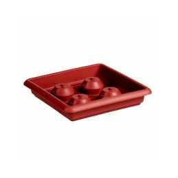 SOTTOVASO MED QUADRO COCCIO...