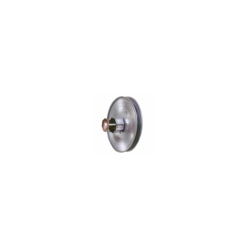 PULEGGIA RIDUTTORE 1:2,5 mm 250 RULLO MET SAGOMATO