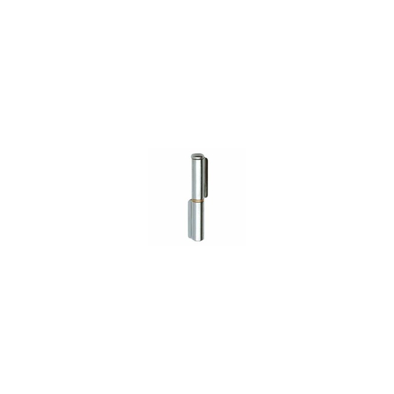 CERNIERA 2 ALI SALDARE INOX 120x 21 1228 AL