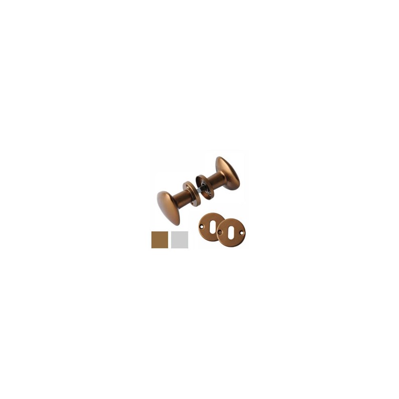 POMOLO GINEVRA ALL BRO 8x50 ACCOPPIATO BRIALMA