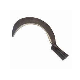 RONCOLA PERTICA mm 480...