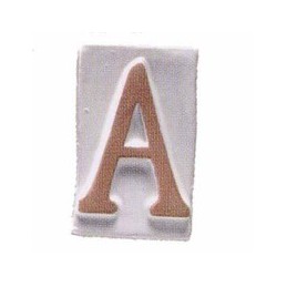 LETTERA CIVICA VASARTE...