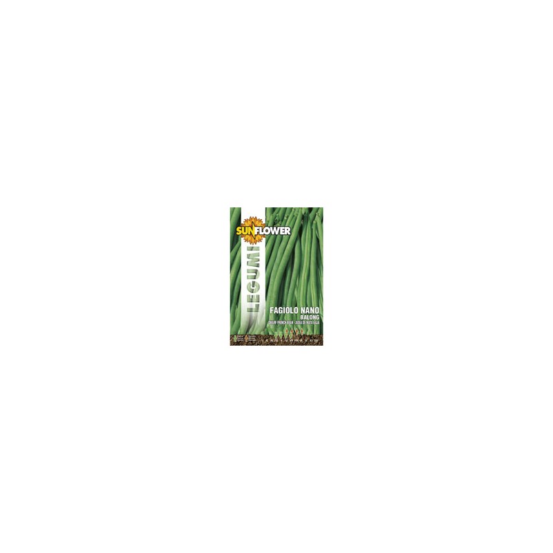 SEMENTI FAGIOLO NANO BALONG              SUNFLOWER