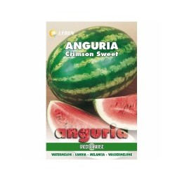 SEMENTI ANGURIA CRIMSON...