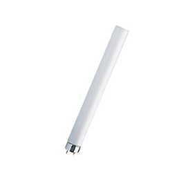LAMPADA FLUORESCENTE T8 W58
